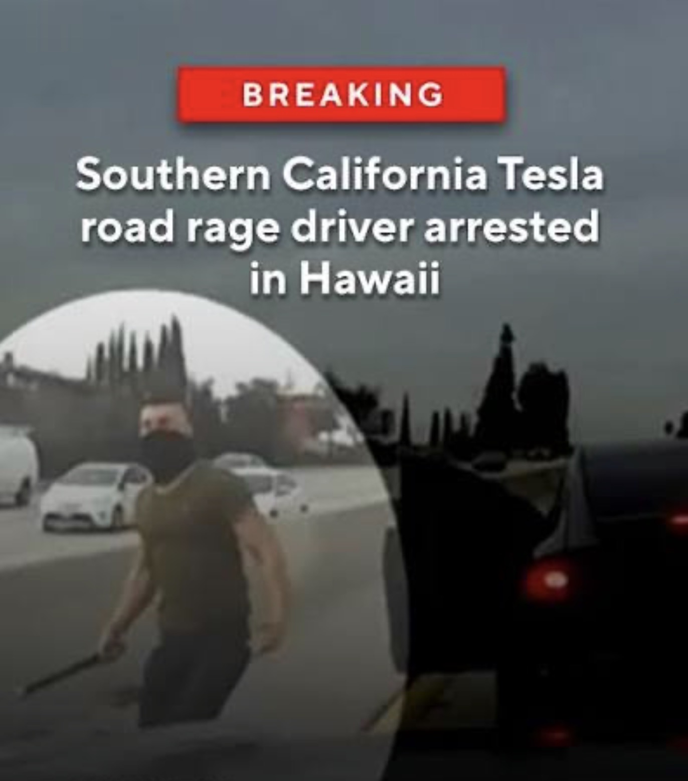 ‘Tesla Road rage driver’ sentenced to prison in Hawaii, after ...